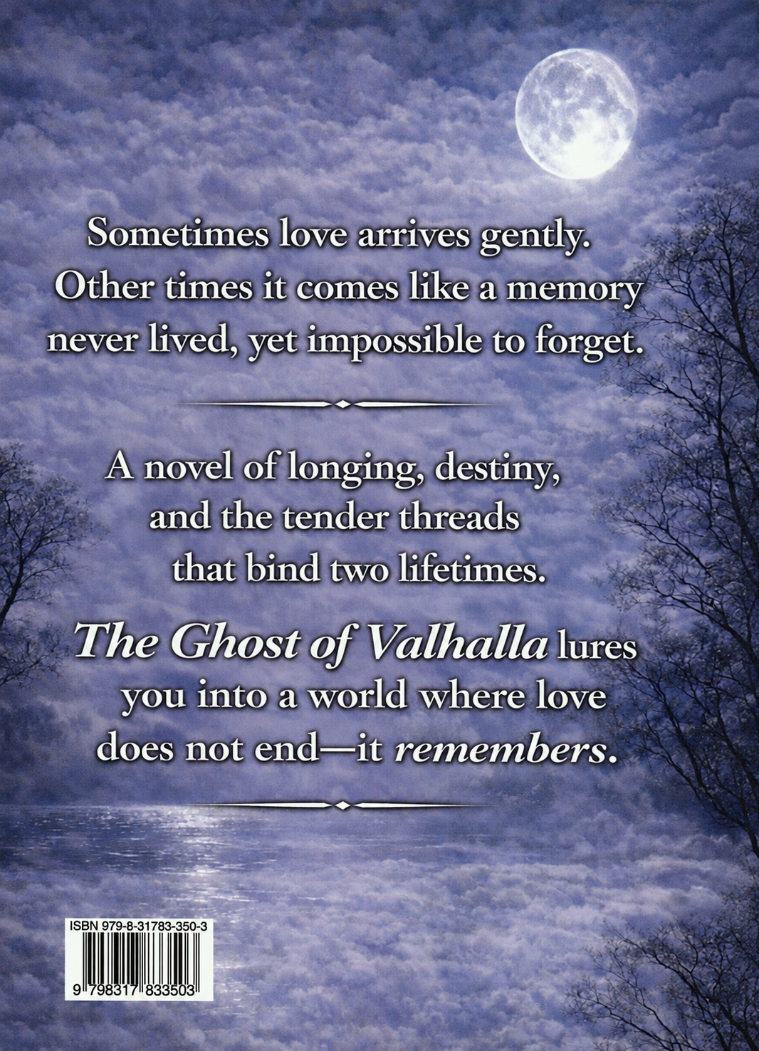 Back cover of The Ghost of Valhalla